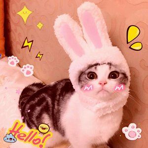 Cute Costume Bunny Rabbit Hat with Ears for Cats